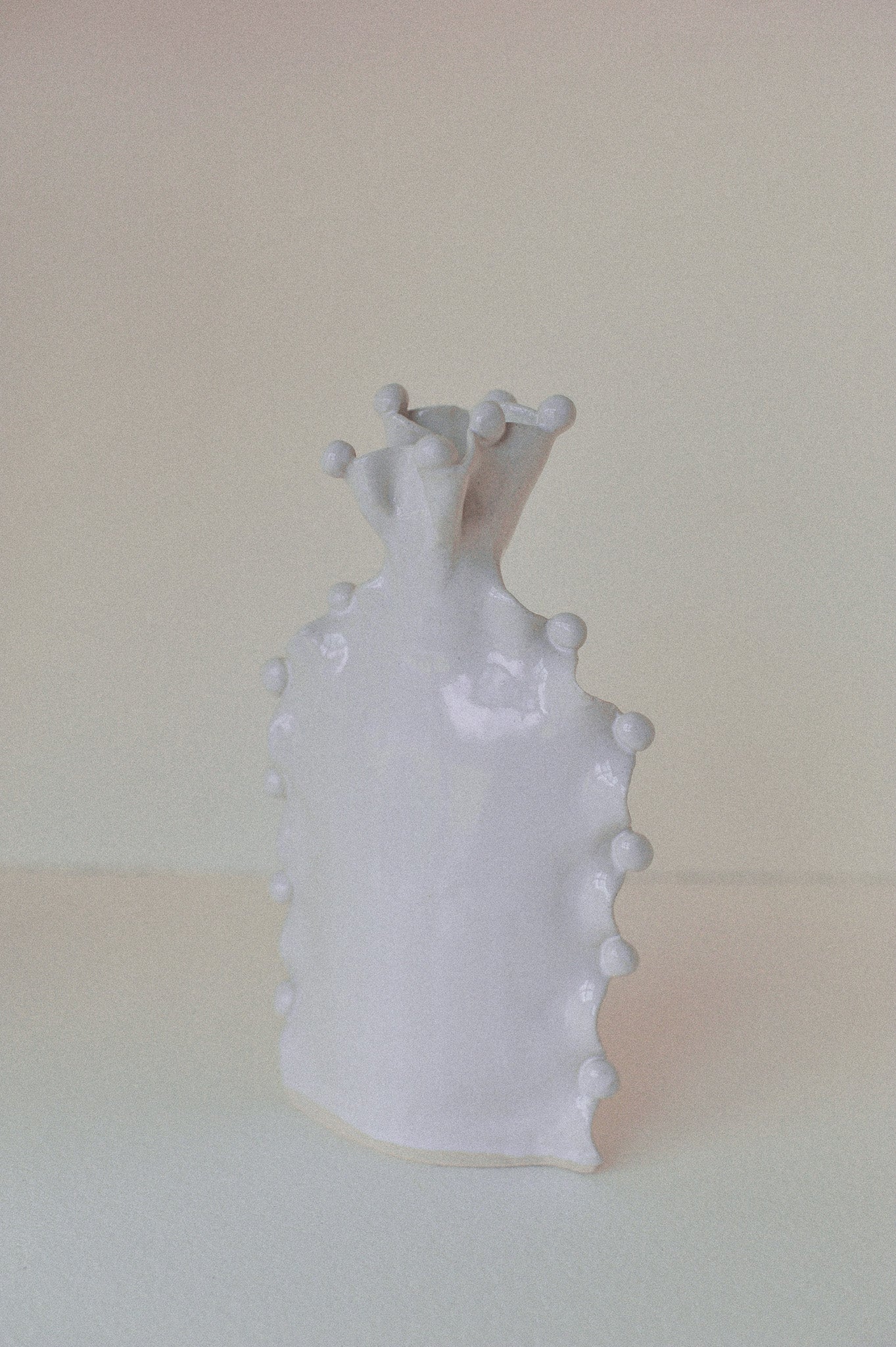 Clam and Scallop Vase
